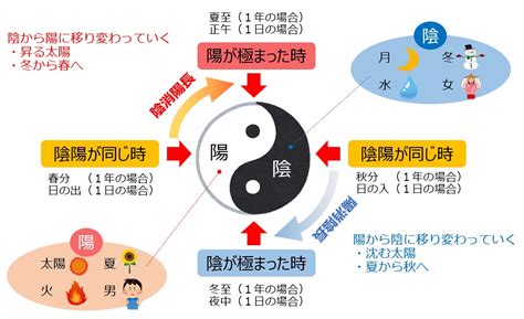 太極陰陽|陰陽ってなに？ 